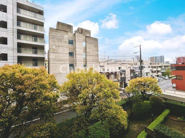 コスモプレイス亀戸の展望|眺望