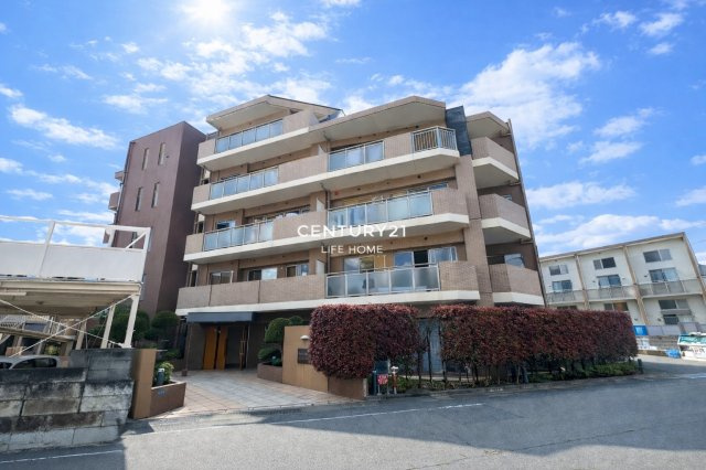 ミオカステーロ稲田堤の画像