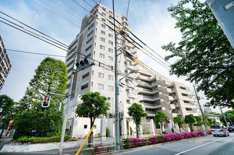 テラス加賀の外観|「十条」駅徒歩１０分！平成１２年築の新耐震基準適合マンション、テラス加賀は即日現地案内可能となっておりますので、お気軽にお問い合わせください！