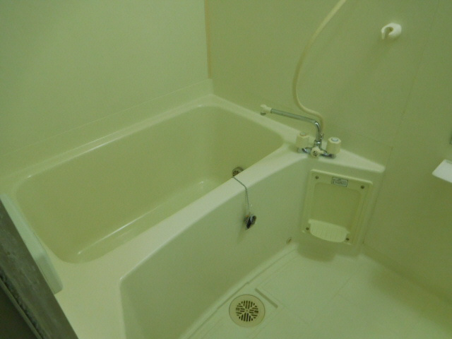 ドミールＶの浴室