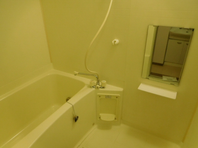 ドミールＶの浴室