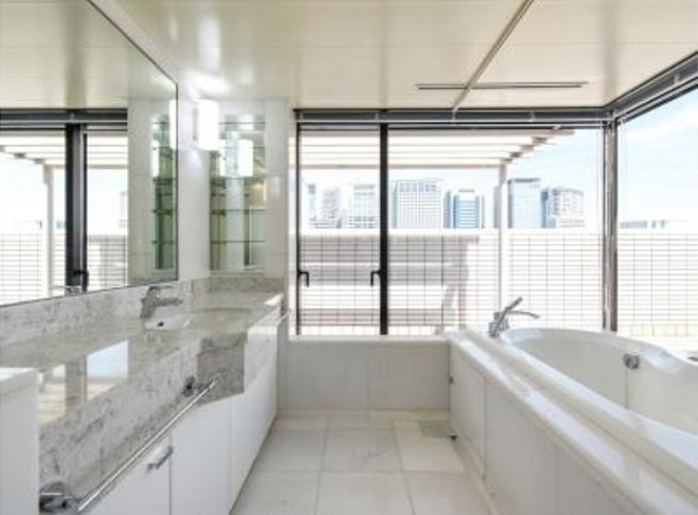 港区高輪４丁目の賃貸マンションのその他|洗面