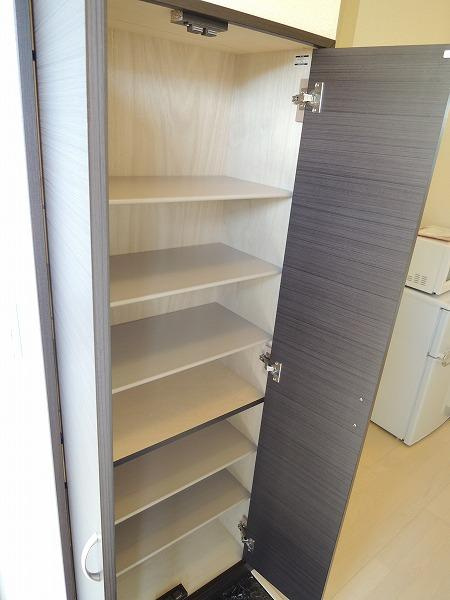 レオネクスト楓の玄関|シューズボックス