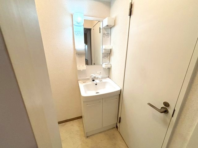 セレブコートⅡの独立洗面台