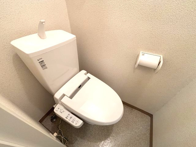 セレブコートⅡのトイレ