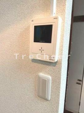 【セキュリティ】 | アカシアの木