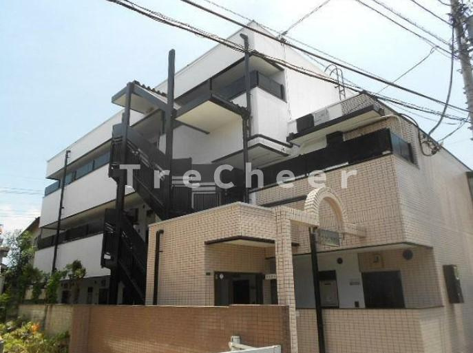アカシアの木
