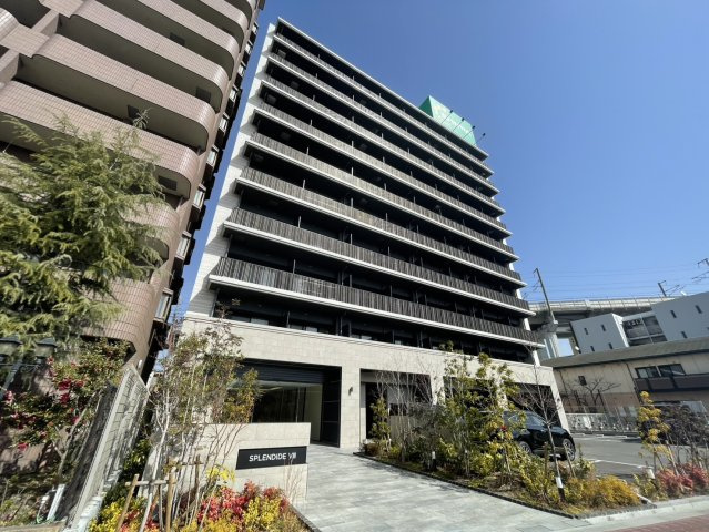 スプランディッドⅧ