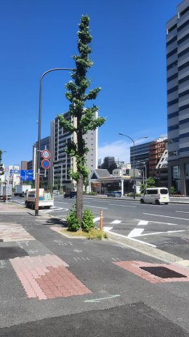【周辺】 | マークラー神戸ビル