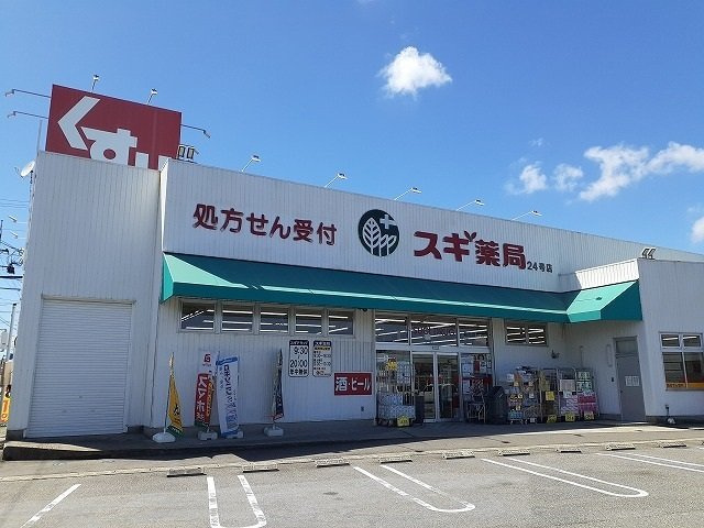 メゾン相生Ⅱの周辺|スギ薬局碧南新川店まで187m