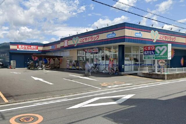 【利便性◎】高知市新屋敷　中古一戸建ての周辺|よどやドラック