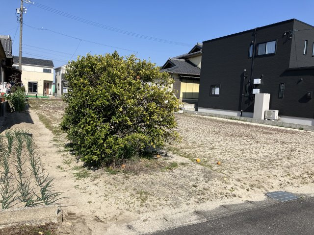 碧南市権現町２丁目の前面道路含む現地写真