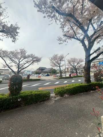 エストゥルース府中の展望