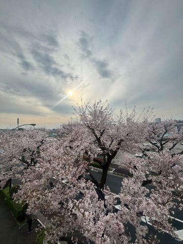 エストゥルース府中の展望|※別号室参考写真です