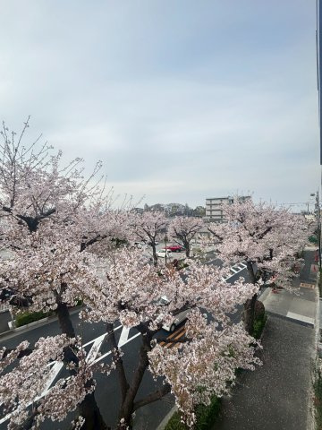 エストゥルース府中の展望