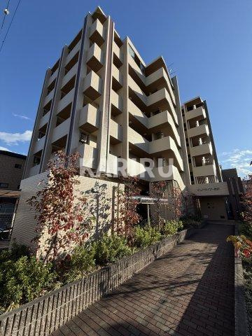 ピュアライズ諏訪