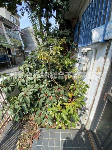 横小路町5丁目中古テラスハウスのその他共用部分|手入れをすれば、小さい庭としてお使いいただけます！