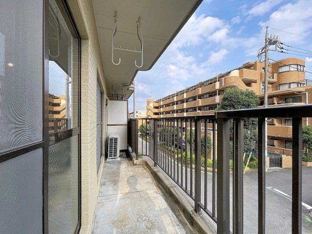 ハルニレの展望