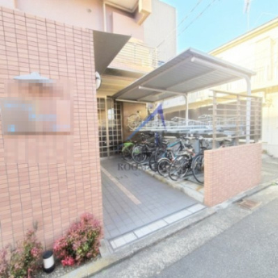 ウイングルート