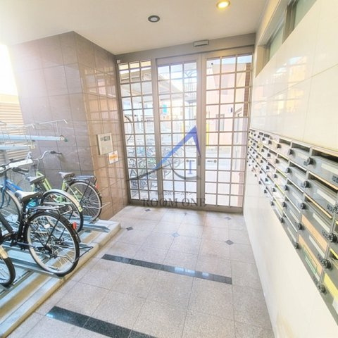 ウイングルート