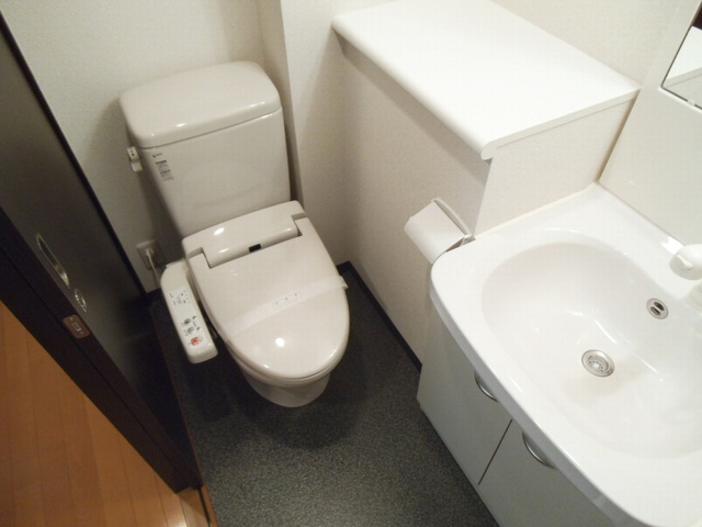 グラントゥルース赤羽のトイレ|トイレと洗面台が同室になります☆