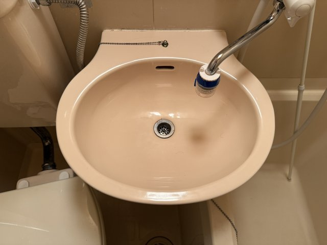 ヴェラハイツ佳の洗面所