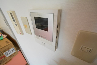 トゥエルブイナバソウのその他物件画像