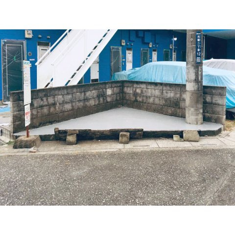 ミモザのその他