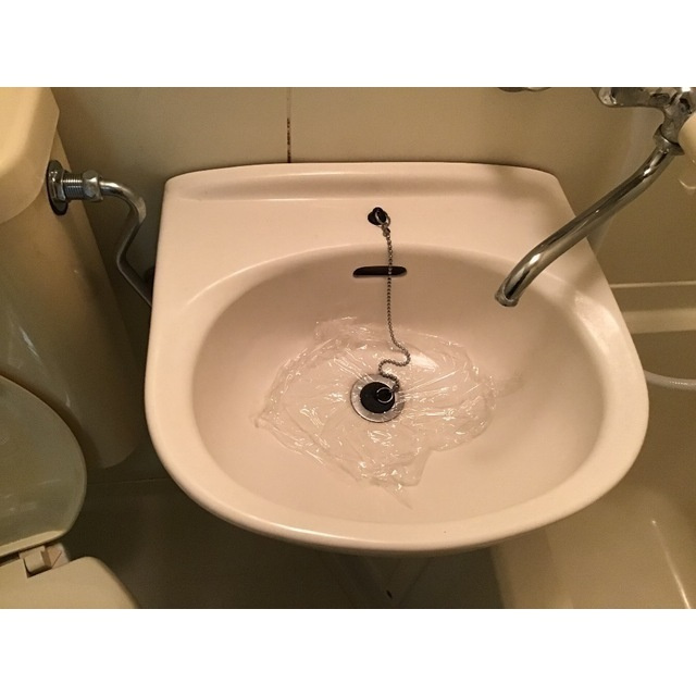 ミモザの洗面所