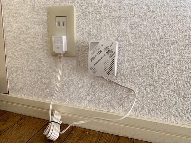 リッキーハイツのその他