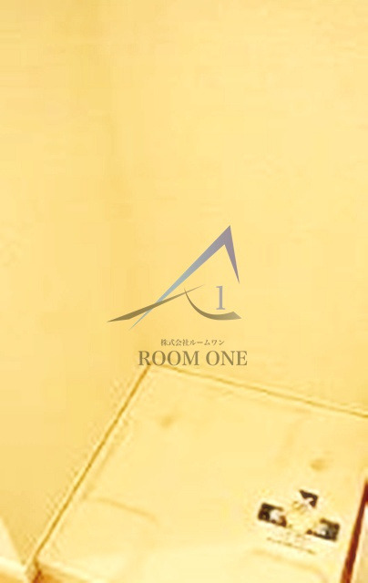 スカイコート新小岩の設備|洗濯機置き場です。