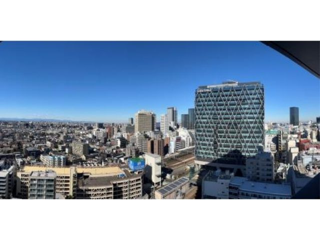 グランドミレーニアの展望