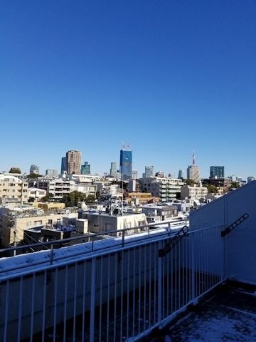 ザ・パークレックス南麻布の展望