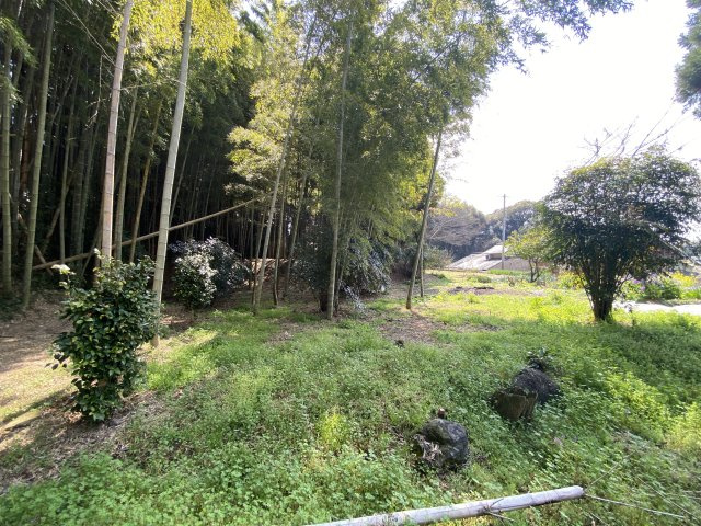 【庭】 | 菊池市泗水町田島