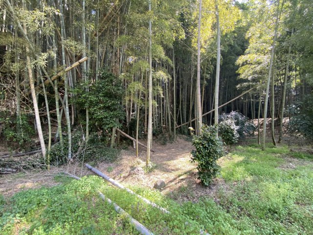 【庭】 | 菊池市泗水町田島