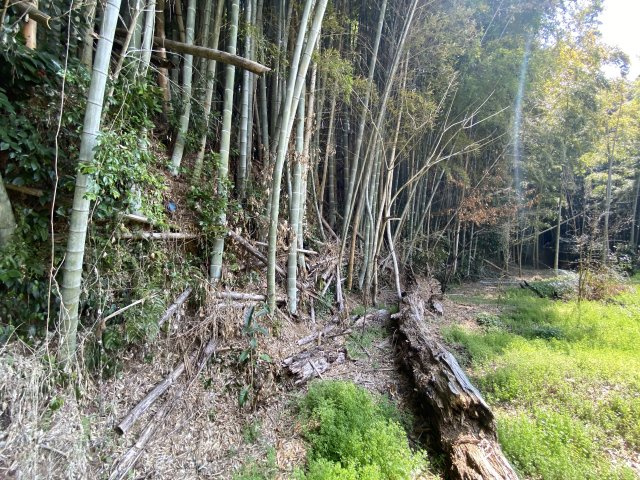 【その他】 | 菊池市泗水町田島