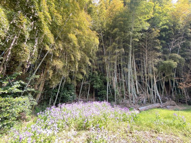 【庭】 | 菊池市泗水町田島