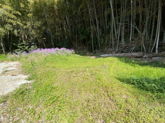 【庭】 | 菊池市泗水町田島