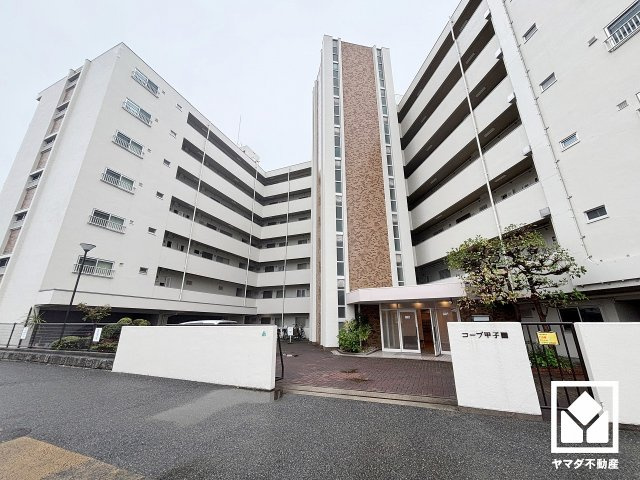コープ甲子園