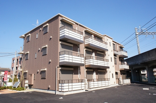 セルディーナ・Ｍ