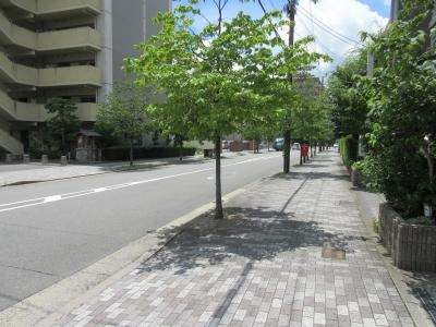 みつまめ京都の周辺|前面道路