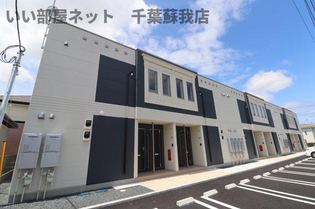 コスモス