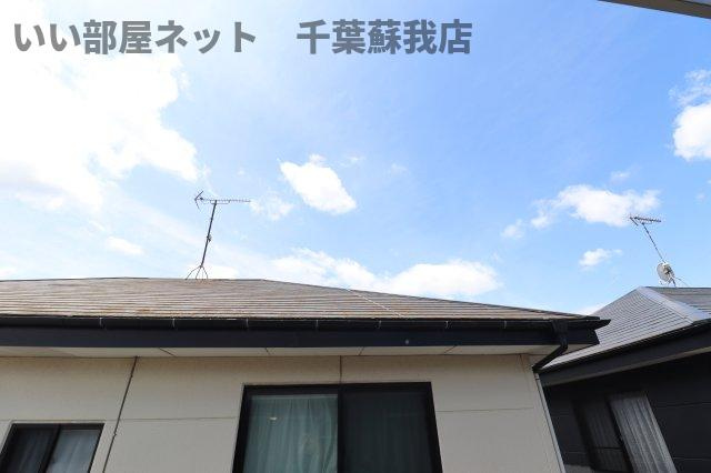 コスモスの展望|明日を自由に『Asfree』いい部屋ネット千葉蘇我店です！