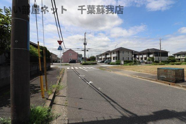 コスモスの周辺