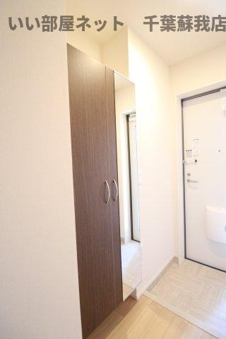 コスモスのその他|シューズボックス