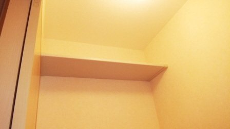 アペックスハイツ西船Ⅱのトイレ|トイレ上部に棚有ります