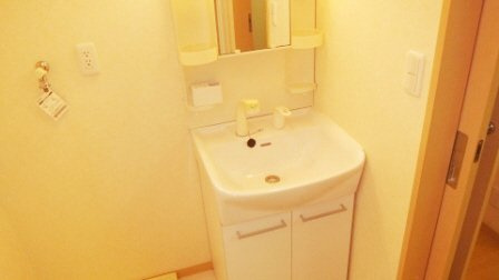 アペックスハイツ西船Ⅱの洗面所|シャンプードレッサー付き♪