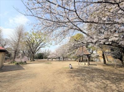 【周辺】 | 【仲介手数料３９０万円が無料！】■学芸大学駅１２分■下馬中央公園まで５０米 | 下馬中央公園まで５０米
春の特別キャンペーン！
日本一の家計応援サービスに挑戦中！
詳細は「諸費用」欄をご確認下さい！
■学芸大学駅１２分
■陽当り良好
■お好きなハウスメーカーで建築可