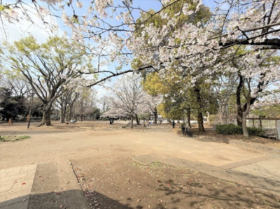 【周辺】 | 【仲介手数料３９０万円が無料！】■学芸大学駅１２分■下馬中央公園まで５０米 | 下馬中央公園まで５０米
春の特別キャンペーン！
日本一の家計応援サービスに挑戦中！
詳細は「諸費用」欄をご確認下さい！
■学芸大学駅１２分
■陽当り良好
■お好きなハウスメーカーで建築可
