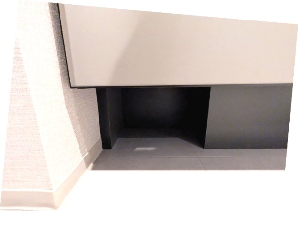 THE LIONS forsia文京湯島の設備|トイレと独立した洗面脱衣室、洗面台下にはヘルスメーターストック